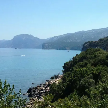 Corraleddu